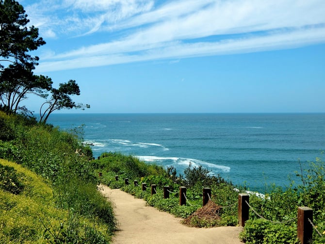 Coastal trail path along the La Jolla cliffs in San Diego